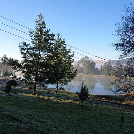 Cabanas Tapalpa Sierra Del Tecuan, Cabana Conejo Exteriör bild