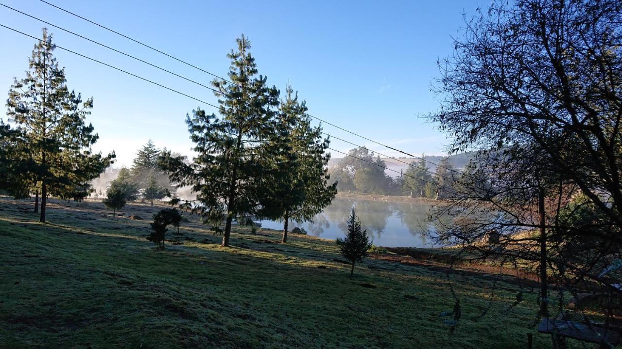 Cabanas Tapalpa Sierra Del Tecuan, Cabana Conejo Exteriör bild