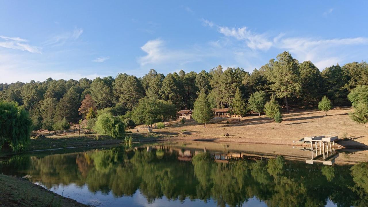 Cabanas Tapalpa Sierra Del Tecuan, Cabana Conejo Exteriör bild